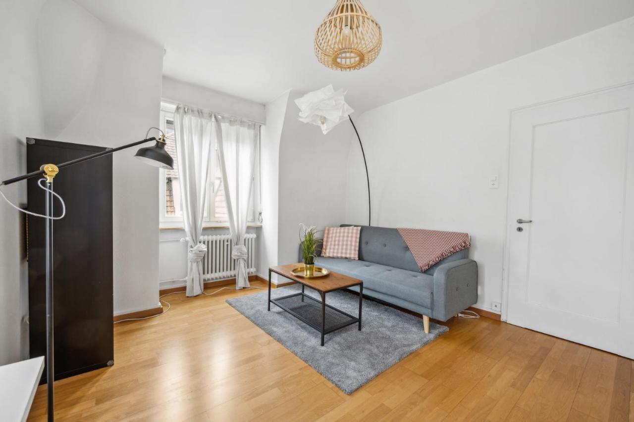 Cozy Apartment In The Heard Of Zurich Sonnegg Buitenkant foto