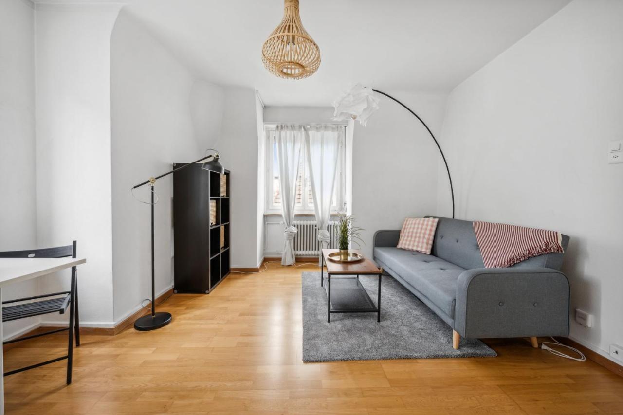 Cozy Apartment In The Heard Of Zurich Sonnegg Buitenkant foto